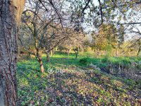 Eladó családi ház, Zalaszántón 39.9 M Ft, 3 szobás