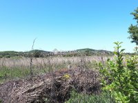 Eladó mezogazdasagi ingatlan, Fonyódon 11 M Ft