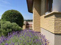 Eladó családi ház, Piliscsabán 239 M Ft, 5+1 szobás