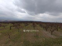 Eladó mezogazdasagi ingatlan, Tökön 73 M Ft