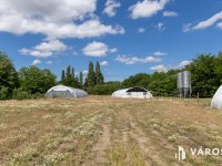 Eladó mezogazdasagi ingatlan, Csólyospáloson 49.99 M Ft, 2 szobás