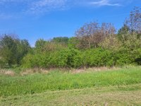 Eladó telek, Gyulán 32.9 M Ft / költözzbe.hu