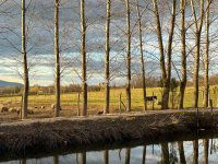 Eladó telek, Őrbottyánban 118 M Ft / költözzbe.hu