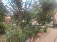 Eladó családi ház, Kerepesen 76.9 M Ft, 2 szobás