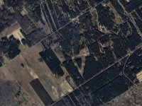 Eladó mezogazdasagi ingatlan, Pirtón 53.7 M Ft