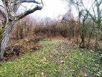 Eladó mezogazdasagi ingatlan, Verőcén 18.99 M Ft