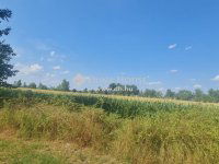 Eladó mezogazdasagi ingatlan, Vecsésen 275 M Ft