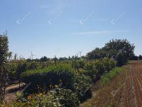 Eladó telek, Levélen 9.9 M Ft / költözzbe.hu