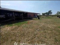 Eladó sorház, Mohácson 52 M Ft, 4 szobás / költözzbe.hu