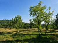 Eladó telek, Cserszegtomajon 22.99 M Ft / költözzbe.hu
