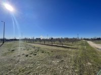 Eladó mezogazdasagi ingatlan, Dabason 115 M Ft, 6 szobás