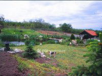 Eladó telek, Vácrátóton 44.99 M Ft / költözzbe.hu