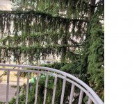 Kiadó téglalakás, albérlet, XI. kerületben 230 E Ft / hó