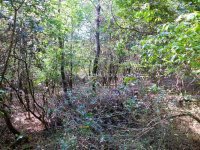 Eladó telek, Sukorón 8.9 M Ft / költözzbe.hu