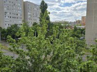 Kiadó panellakás, albérlet