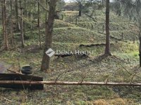 Eladó telek, Zalaegerszegen 1 M Ft / költözzbe.hu