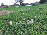 Eladó telek, Balatongyörökön 380 M Ft / költözzbe.hu