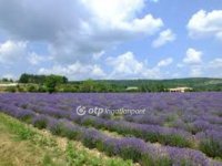 Eladó mezogazdasagi ingatlan, Pátyon 25 M Ft