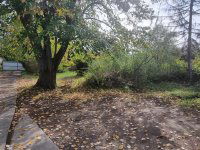 Kiadó üzlethelyiség