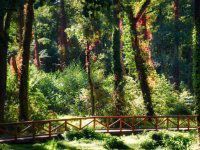 Eladó mezogazdasagi ingatlan, Keszthelyen 10 M Ft