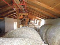 Eladó mezogazdasagi ingatlan, Lajosmizsén 307.5 M Ft