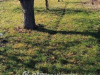 Eladó telek, Aranyosgadányban 2.9 M Ft / költözzbe.hu