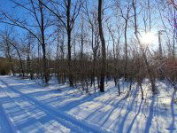 Eladó mezogazdasagi ingatlan