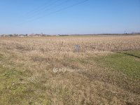 Eladó telek, Nyékládházán 18.99 M Ft / költözzbe.hu