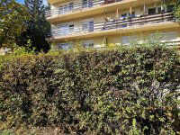 Eladó téglalakás, Siófokon 41 M Ft, 1 szobás