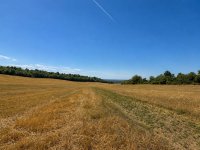 Eladó telek, Dunaszentmiklóson 30 M Ft / költözzbe.hu