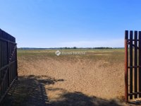 Eladó mezogazdasagi ingatlan, Dabason 40 M Ft
