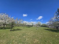 Eladó családi ház, Birjánon 84.9 M Ft, 4 szobás