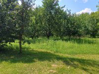 Eladó telek, Miskolcon, Új Élet utcában 14.8 M Ft