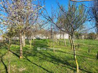 Eladó nyaraló, Siófokon 39.9 M Ft, 2+1 szobás