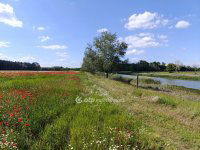 Eladó mezogazdasagi ingatlan