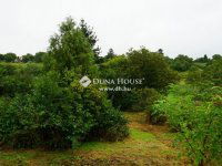 Eladó családi ház, Nagypálin 9.9 M Ft, 2 szobás