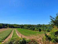 Eladó telek, Balatonszárszón 19.7 M Ft / költözzbe.hu