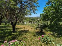 Eladó mezogazdasagi ingatlan, Tárnokon 74 M Ft