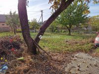 Eladó családi ház, Monoron 45 M Ft, 3 szobás