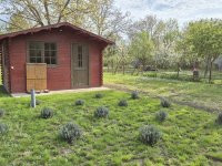 Eladó mezogazdasagi ingatlan, Békéscsabán 9.9 M Ft