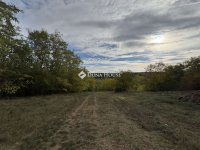 Eladó mezogazdasagi ingatlan, Sülysápon 24 M Ft, 2 szobás