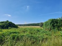 Eladó telek, Isaszegen 150 M Ft / költözzbe.hu