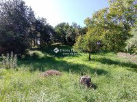 Eladó telek, Velencén 37 M Ft / költözzbe.hu