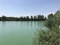 Eladó mezogazdasagi ingatlan, Délegyházán 250 M Ft