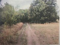 Eladó mezogazdasagi ingatlan