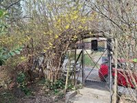 Eladó családi ház, II. kerületben 335 M Ft, 4+1 szobás