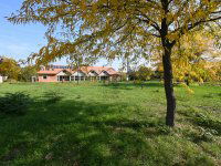 Eladó családi ház, Pétfürdőn 55 M Ft, 8 szobás