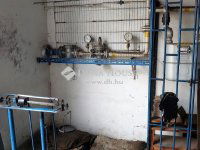 Eladó ipari ingatlan, XXI. kerületben 219 M Ft