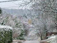 Eladó családi ház, Telkin 225 M Ft, 5+1 szobás