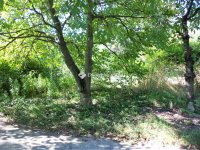 Eladó telek, Gárdonyban 34.5 M Ft / költözzbe.hu